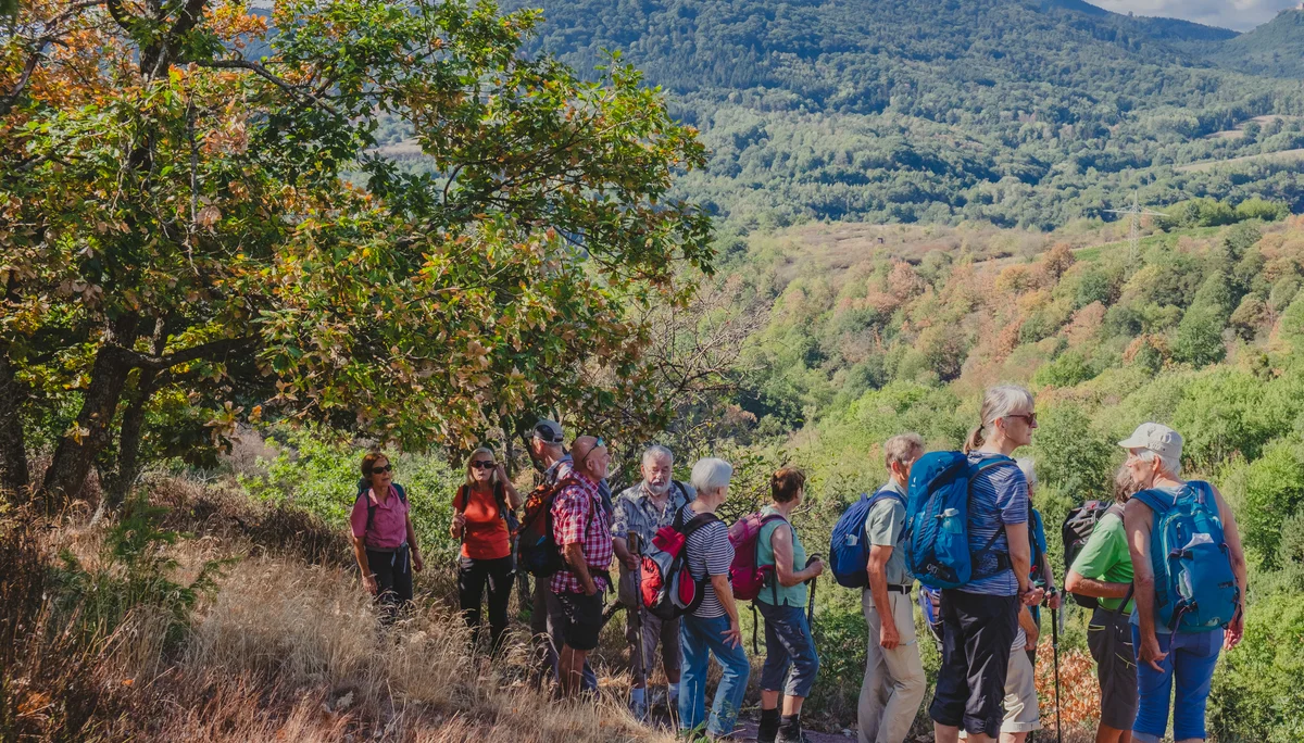 Seniorengruppe Wanderung | © DAV Karlsruhe