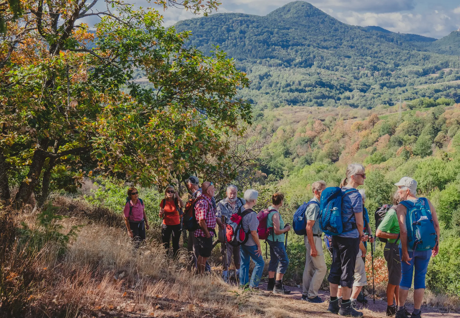 Seniorengruppe Wanderung | © DAV Karlsruhe