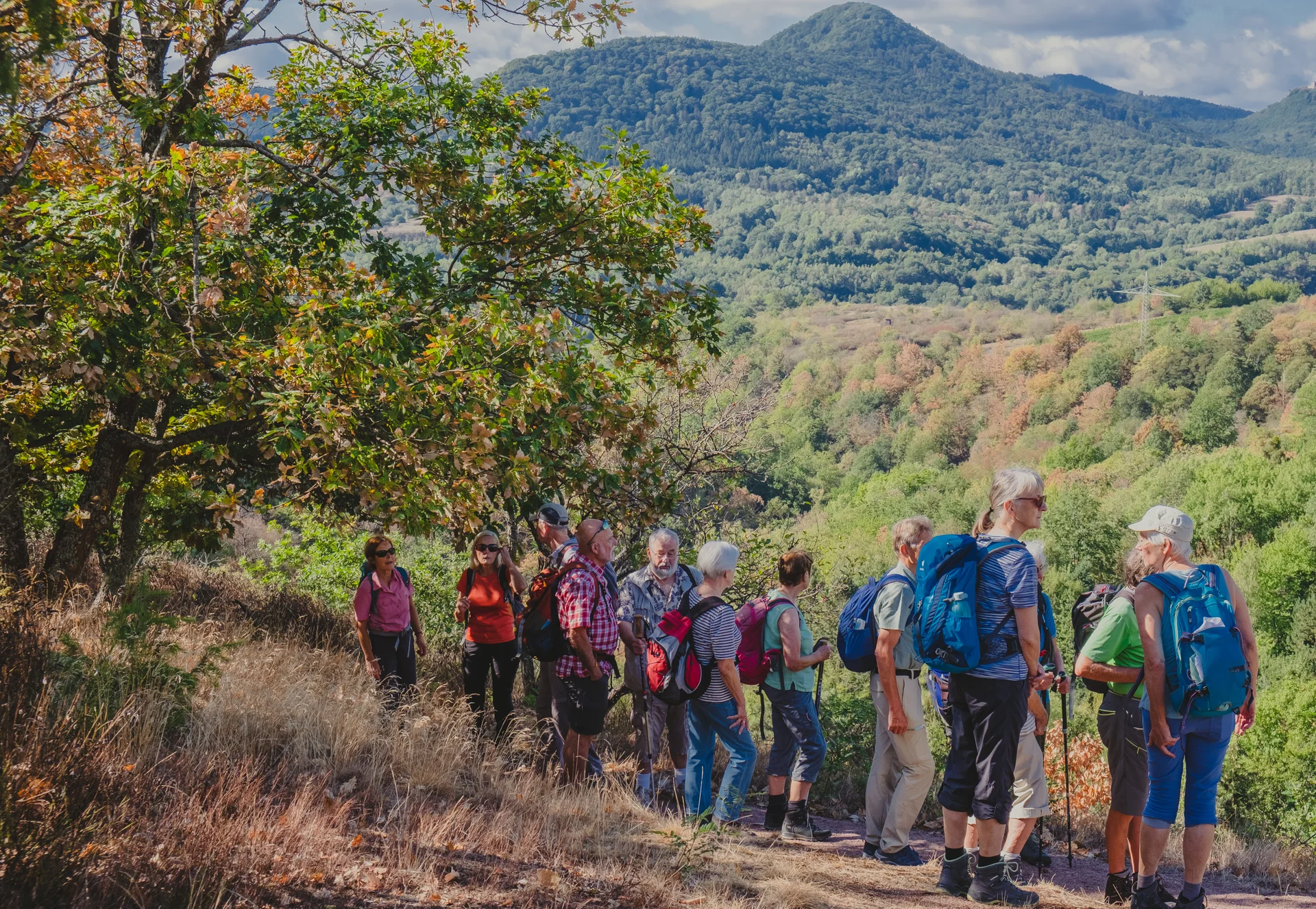 Seniorengruppe Wanderung | © DAV Karlsruhe