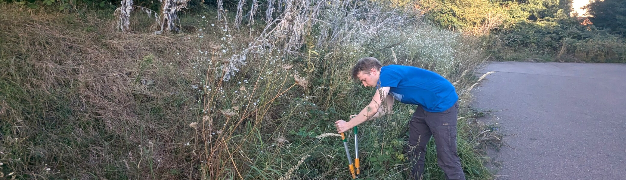Mitarbeiter hilft bei der Naturschutzaktion am Sektionszentrum und schneidet Brombeerranken zurück | © DAV Karlsruhe / Jochen Dümas