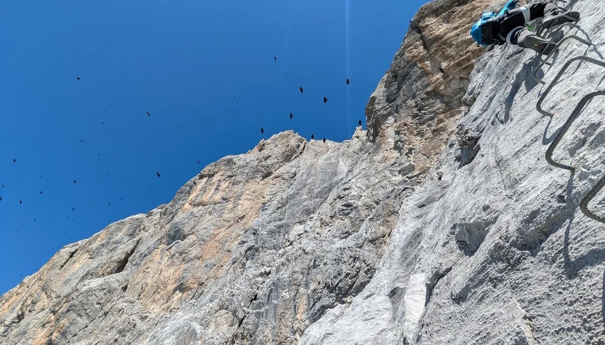 Felsige Wand, rechts im Bild Klettersteigtritte | © DAV Karlsruhe
