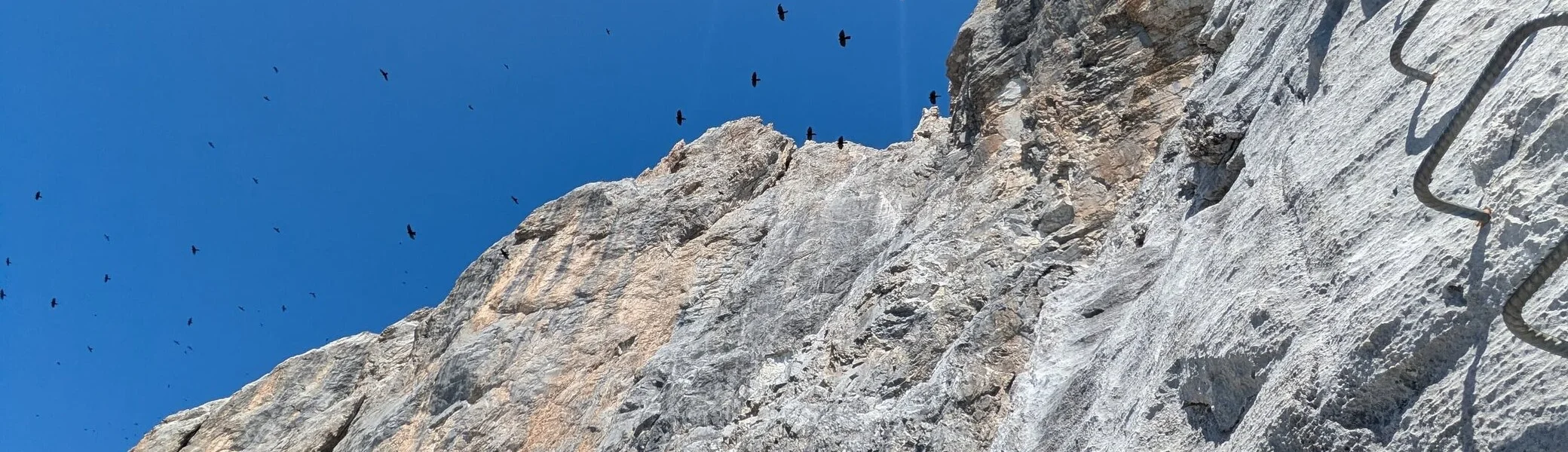 Felsige Wand, rechts im Bild Klettersteigtritte | © DAV Karlsruhe