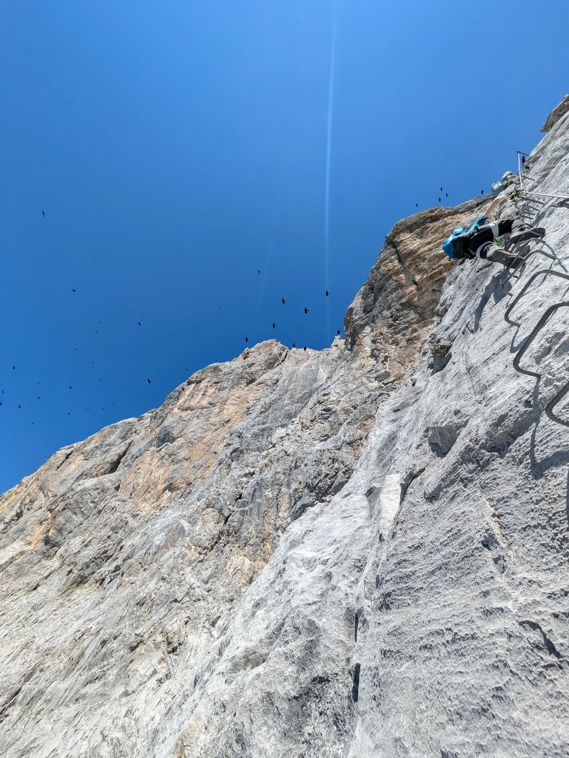 Felsige Wand, rechts im Bild Klettersteigtritte | © DAV Karlsruhe