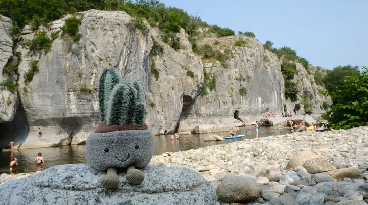 Kunibert (Kaktus Plüschtier) | © DAV Karlsruhe