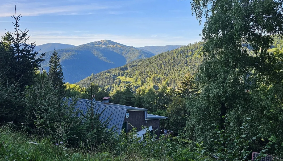 Blick auf bewaldete Hügel | © DAV Karlsruhe