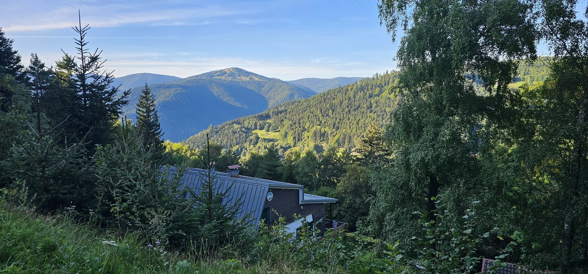 Blick auf bewaldete Hügel | © DAV Karlsruhe
