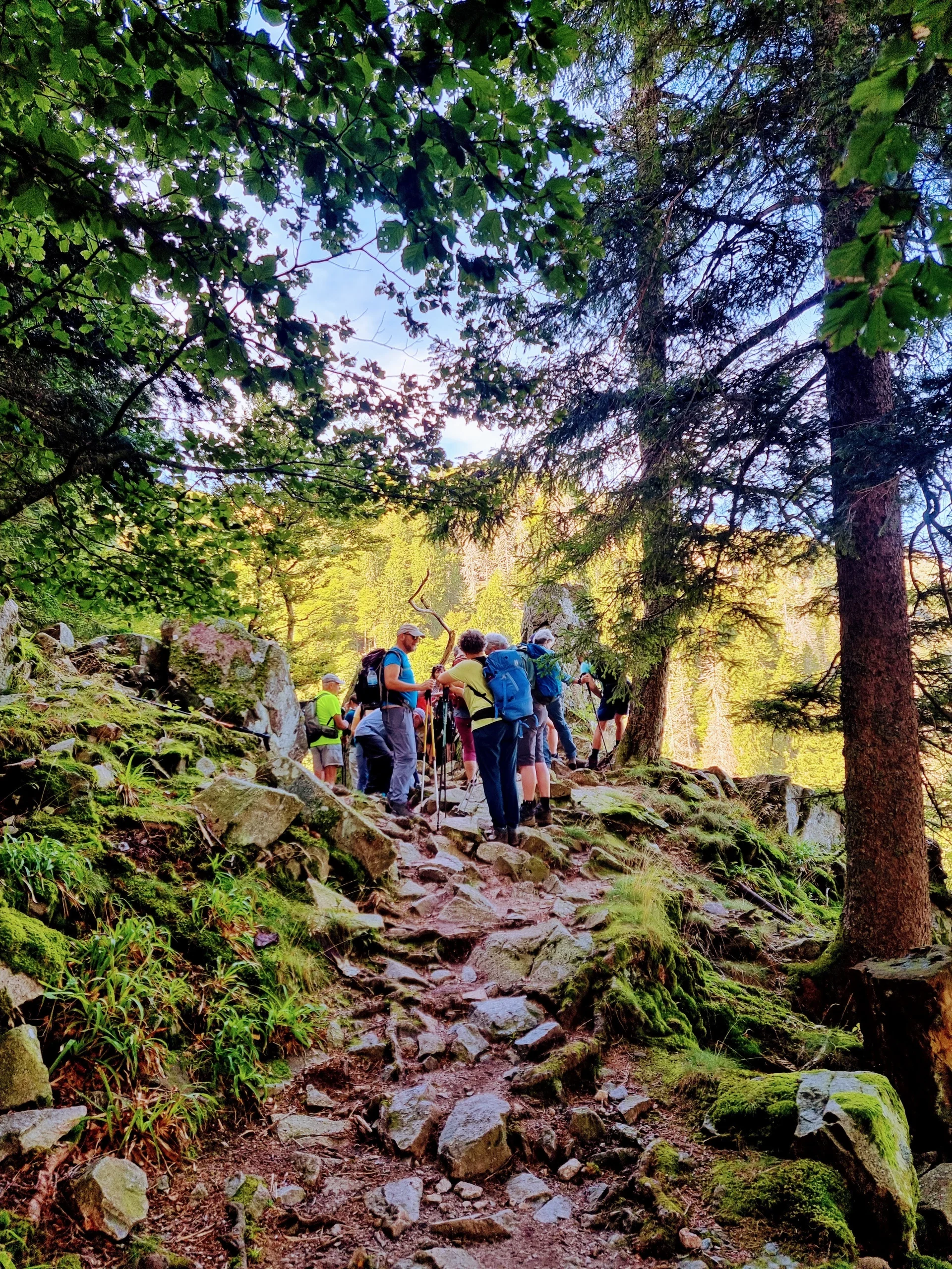 Steiniger Wanderweg mit Wander:innen  | © DAV Karlsruhe