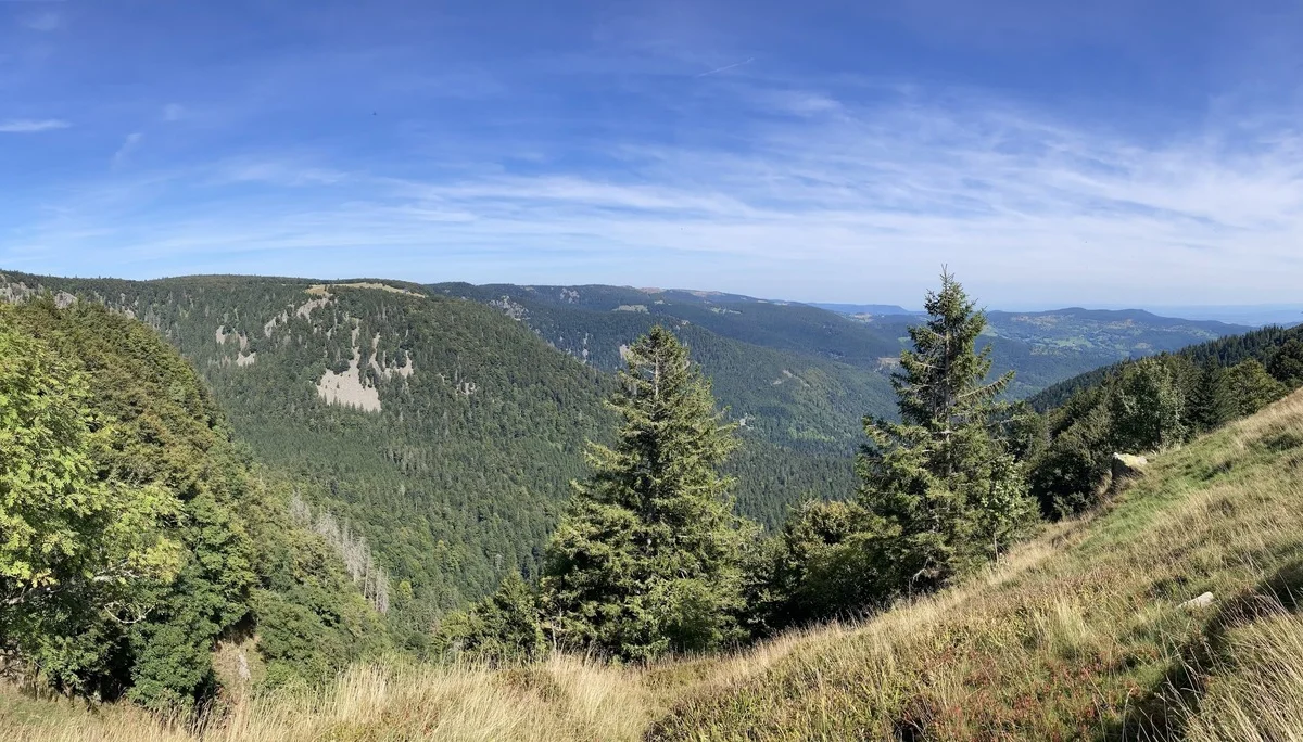 Weiter Blick über bewaldete Hügel  | © DAV Karlsruhe