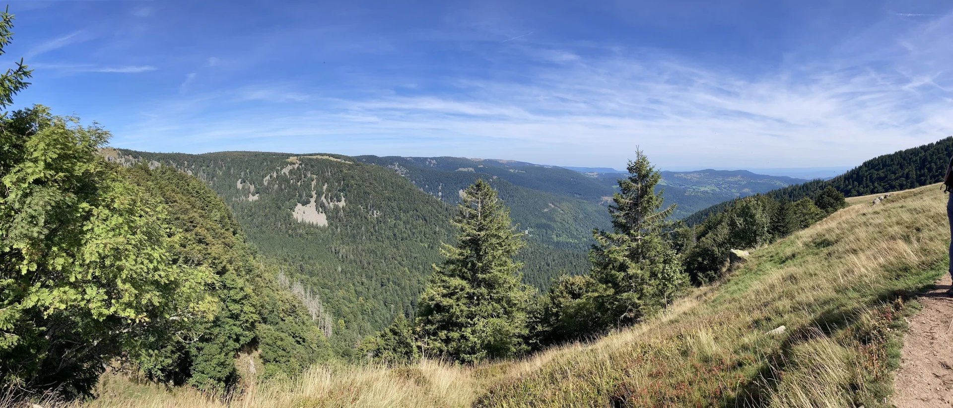 Weiter Blick über bewaldete Hügel  | © DAV Karlsruhe