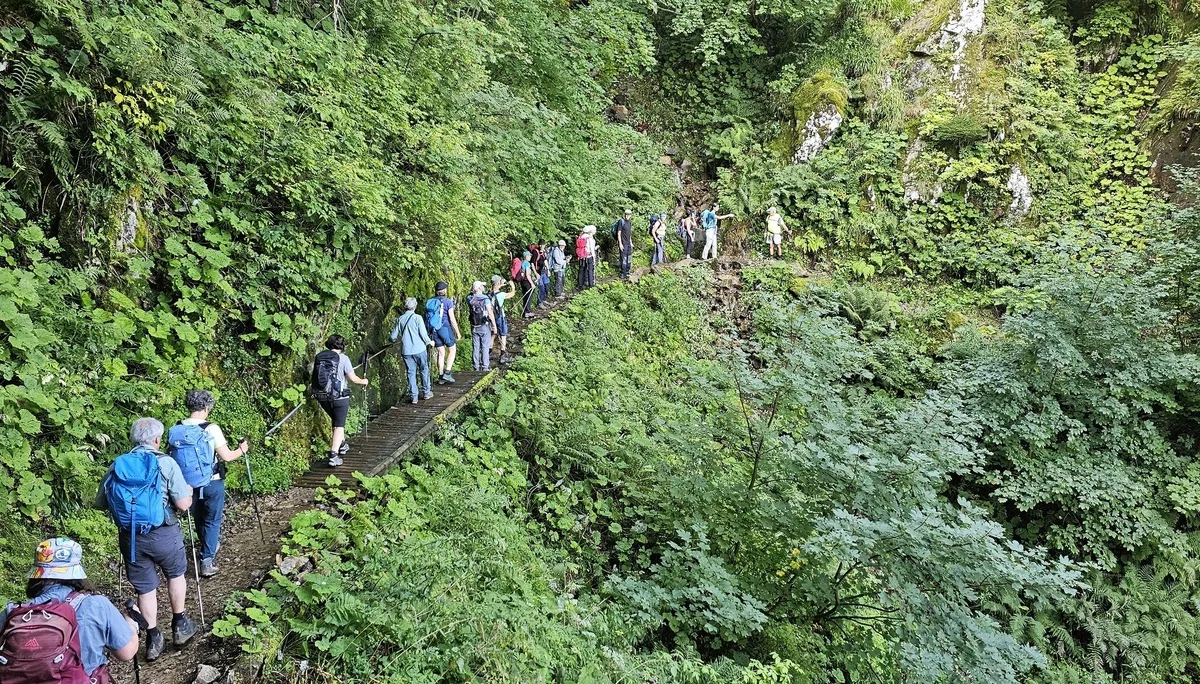 Gruppe von vielen Wander:innen läuft in Reihe über schmalen Wanderweg | © DAV Karlsruhe