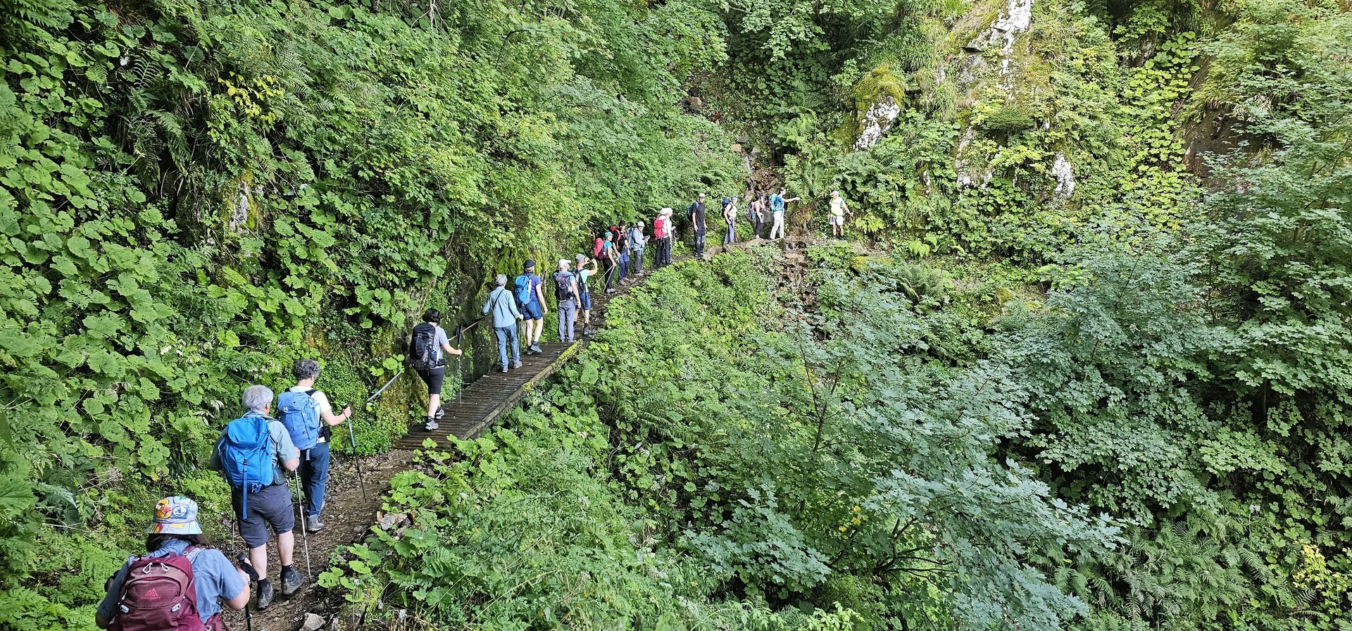 Gruppe von vielen Wander:innen läuft in Reihe über schmalen Wanderweg | © DAV Karlsruhe
