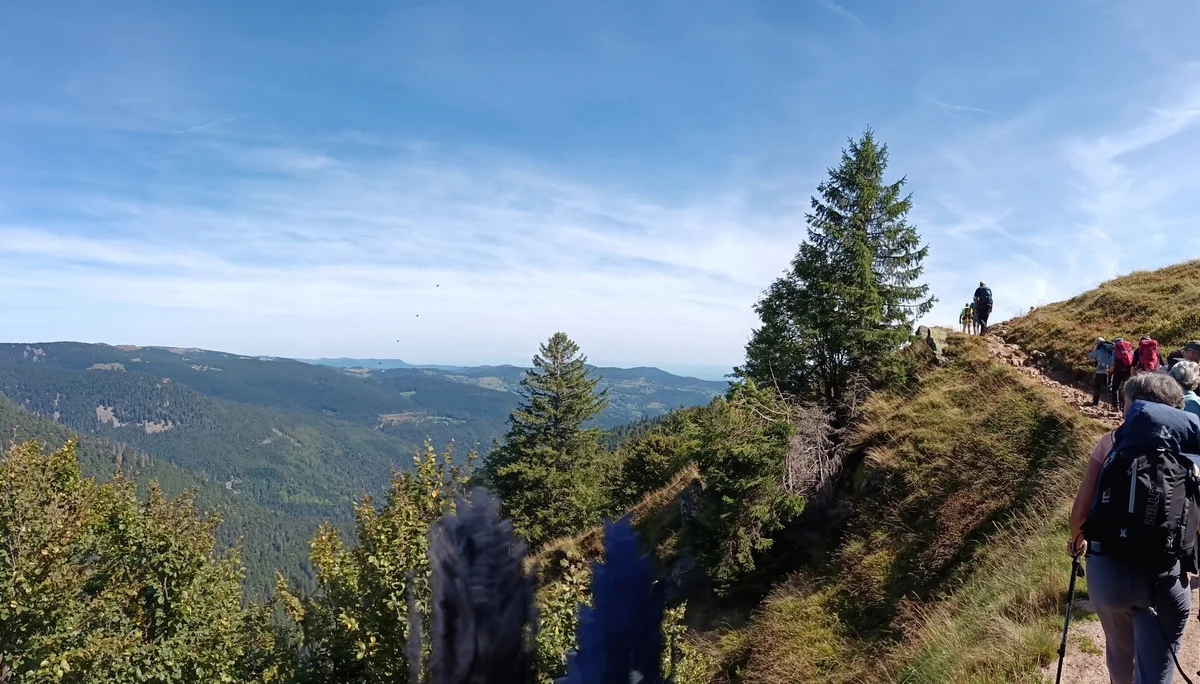rechts schmaler Wanderweg, links Blick über bewaldete Hügel | © DAV Karlsruhe