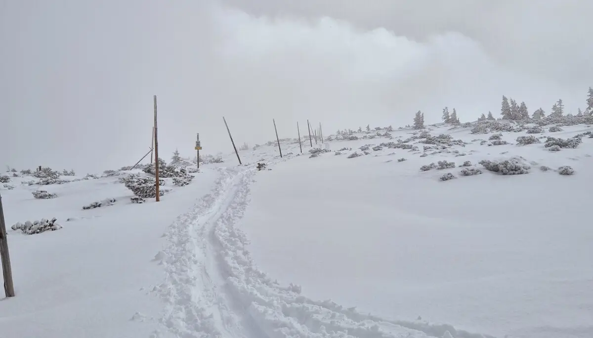 Schneeschuhpfad | © DAV Karlsruhe / Maurus Bauer
