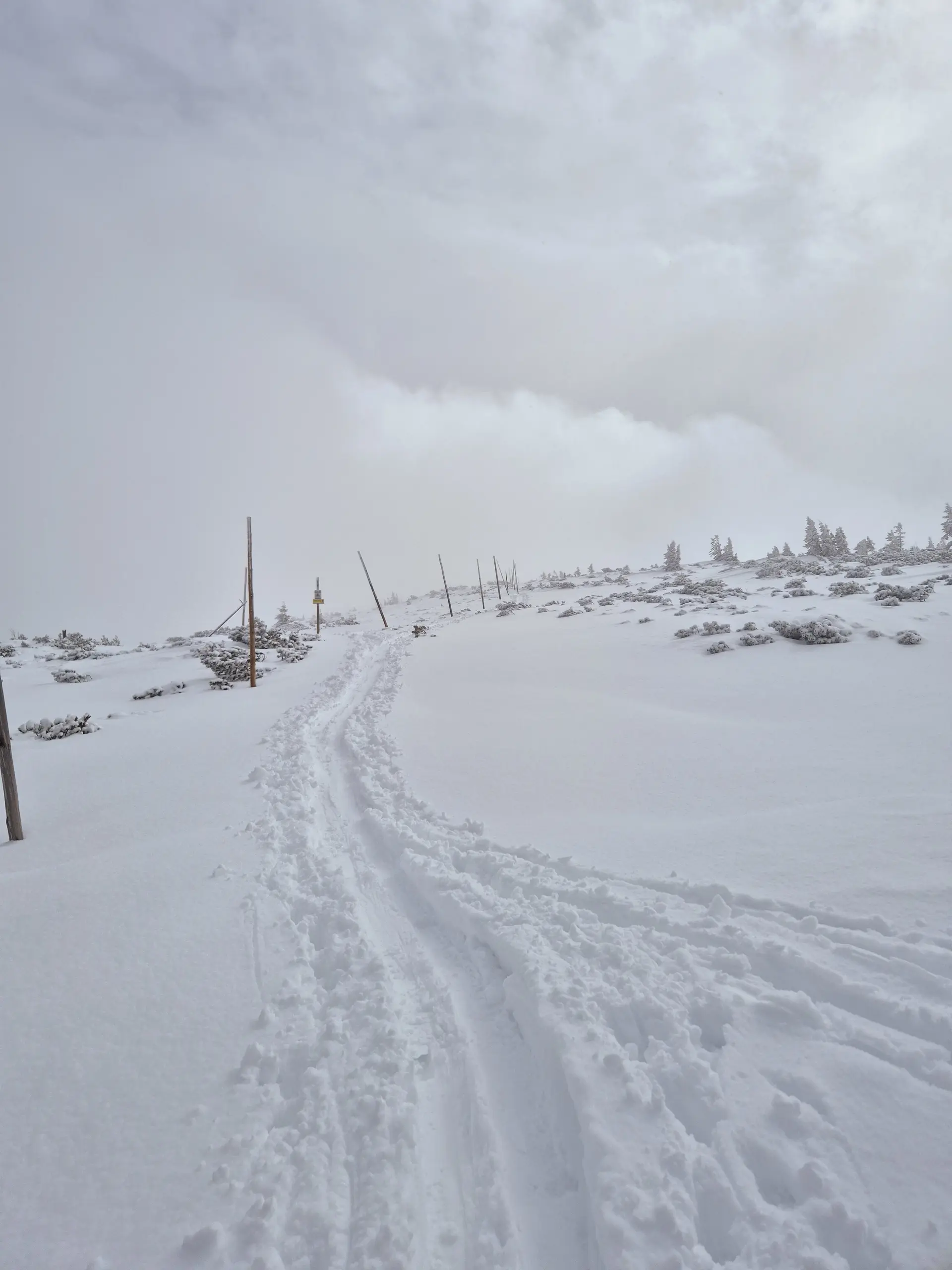 Schneeschuhpfad | © DAV Karlsruhe / Maurus Bauer