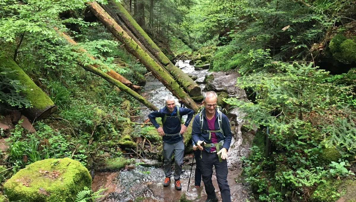 Wanderweg durch den Bachlauf | © DAV Karlsruhe