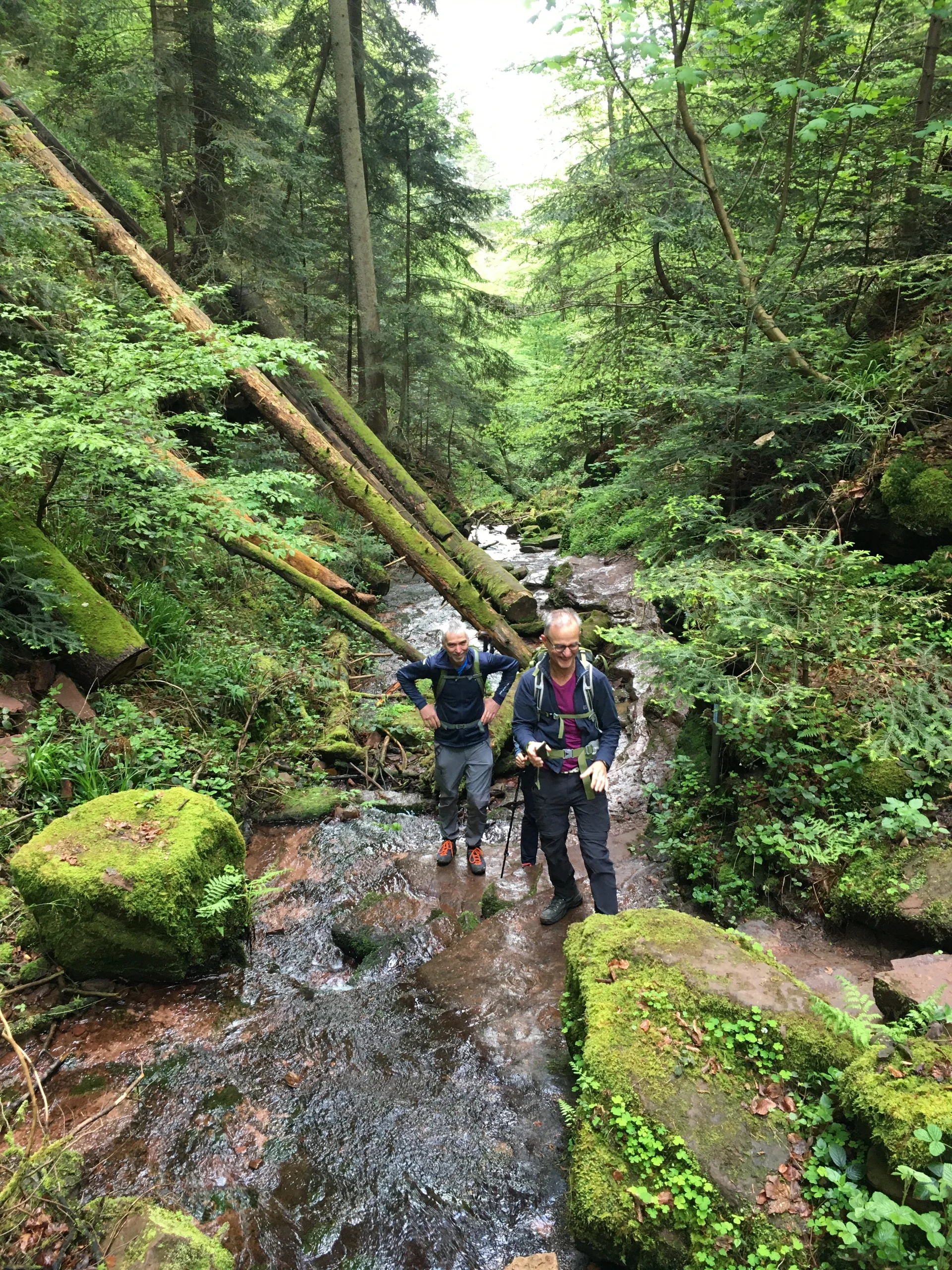 Wanderweg durch den Bachlauf | © DAV Karlsruhe