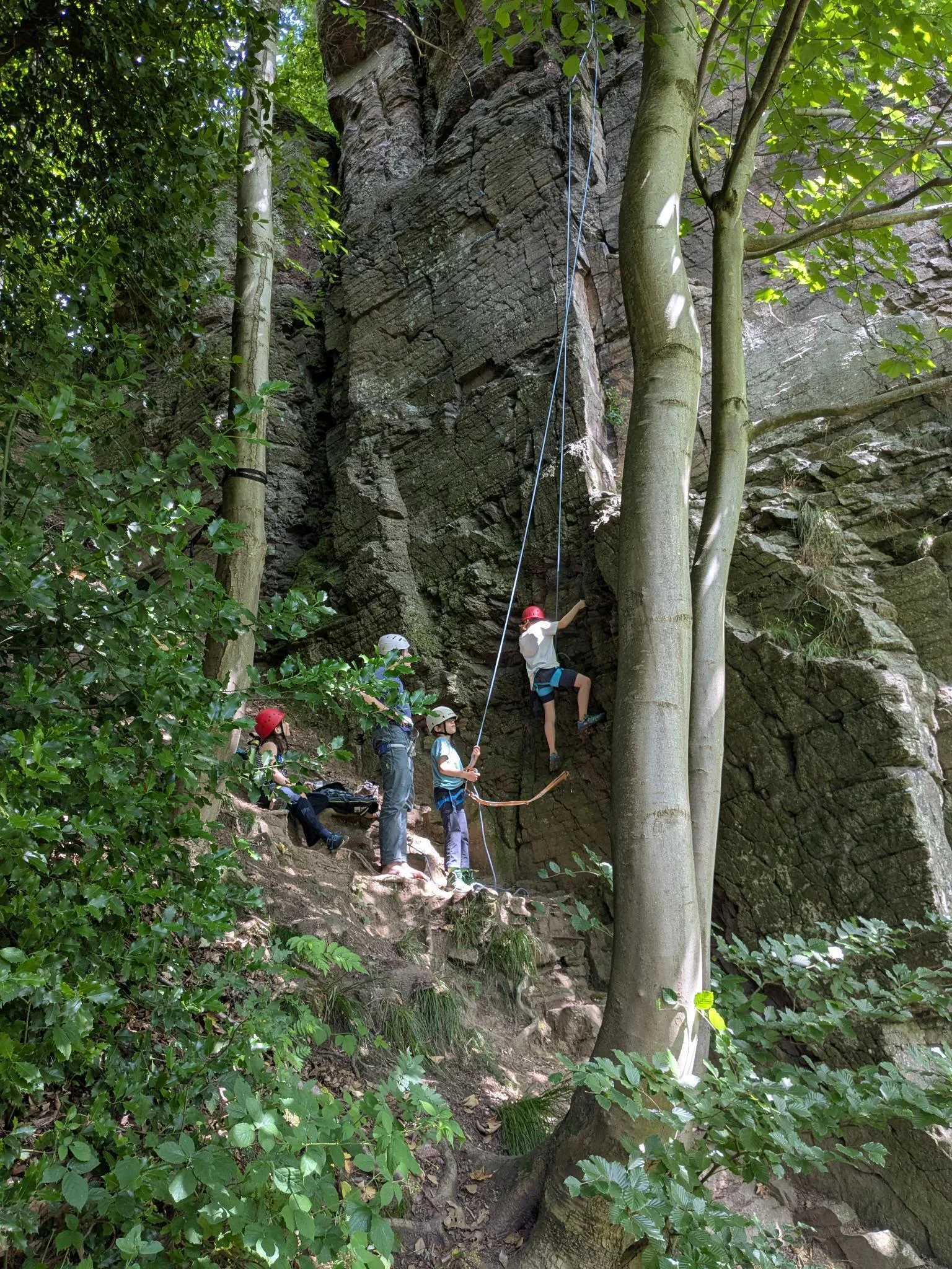 Kletternde Kinder am Fels im Wald | © DAV Karlsruhe
