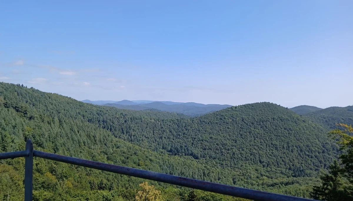 Aussicht auf bewaldete Hügel von der Ruine Guttenberg | © DAV Karlsruhe
