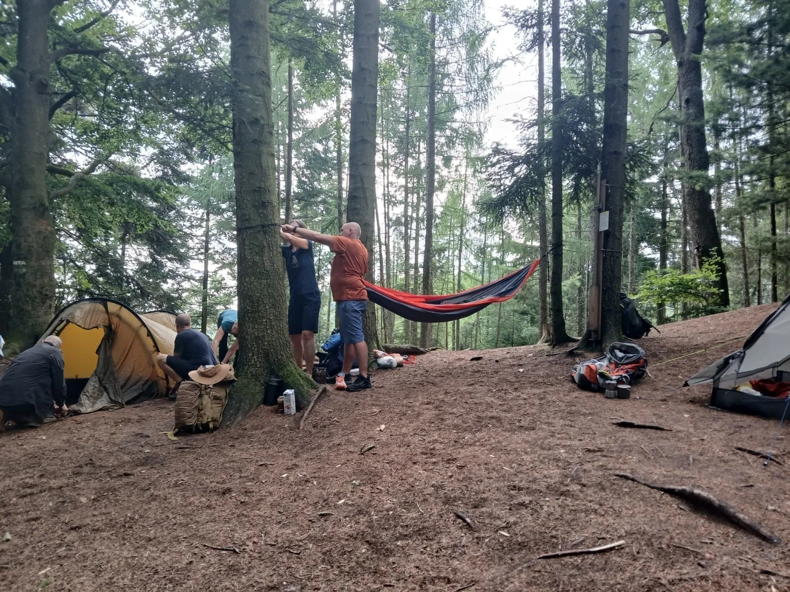 Mehrere Menschen bauen Zelte und Hängematten auf | © DAV Karlsruhe