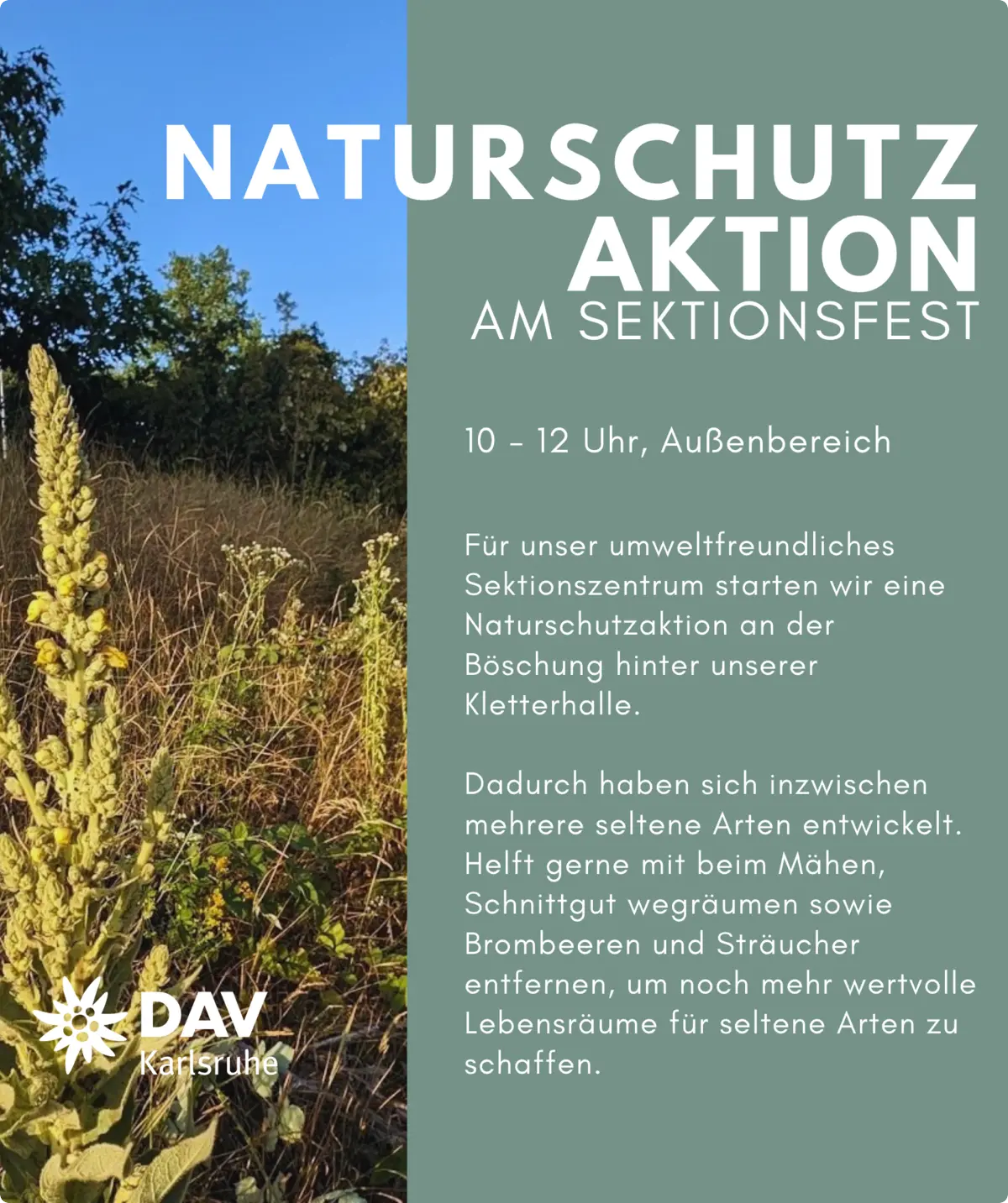 © DAV Karlsruhe