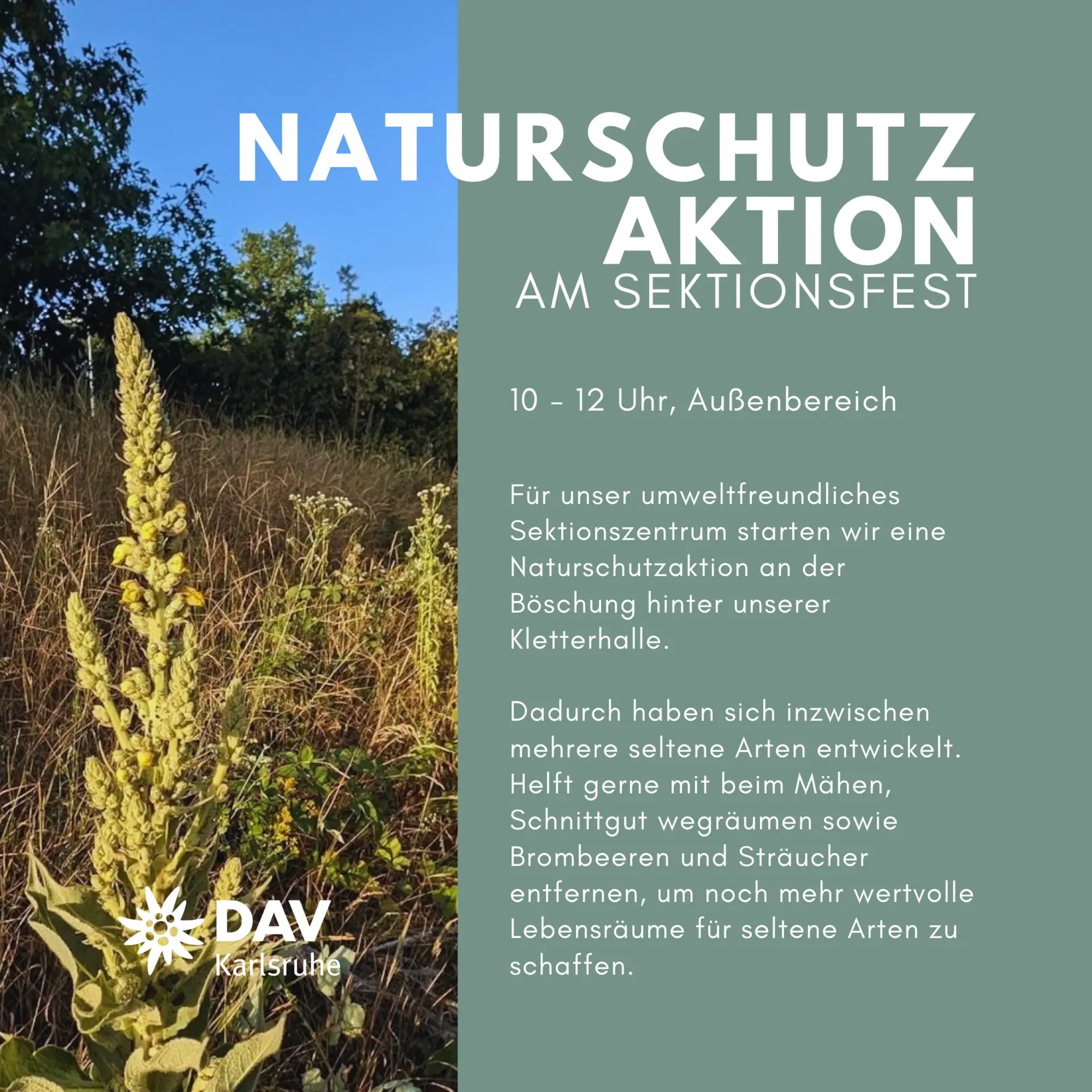 © DAV Karlsruhe
